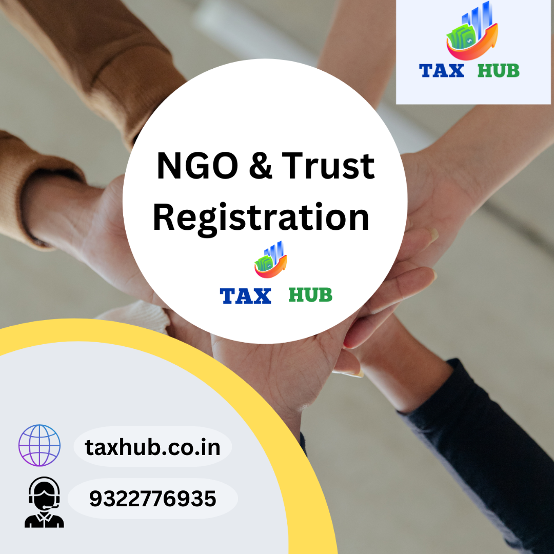 Trust And NGO Tax Services